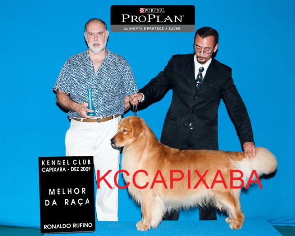 Clique sobre a foto para fechar